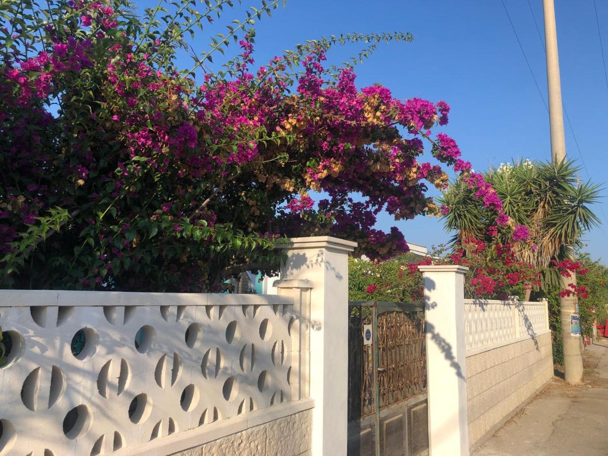 Amaris Mango Seafront Villa Granelli Exteriér fotografie